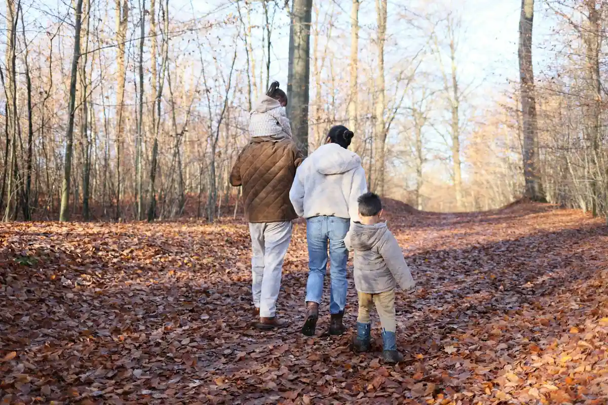 Balade en famille autour de Reims : les Faux de Verzy en 3 km et le sentier des Lutins