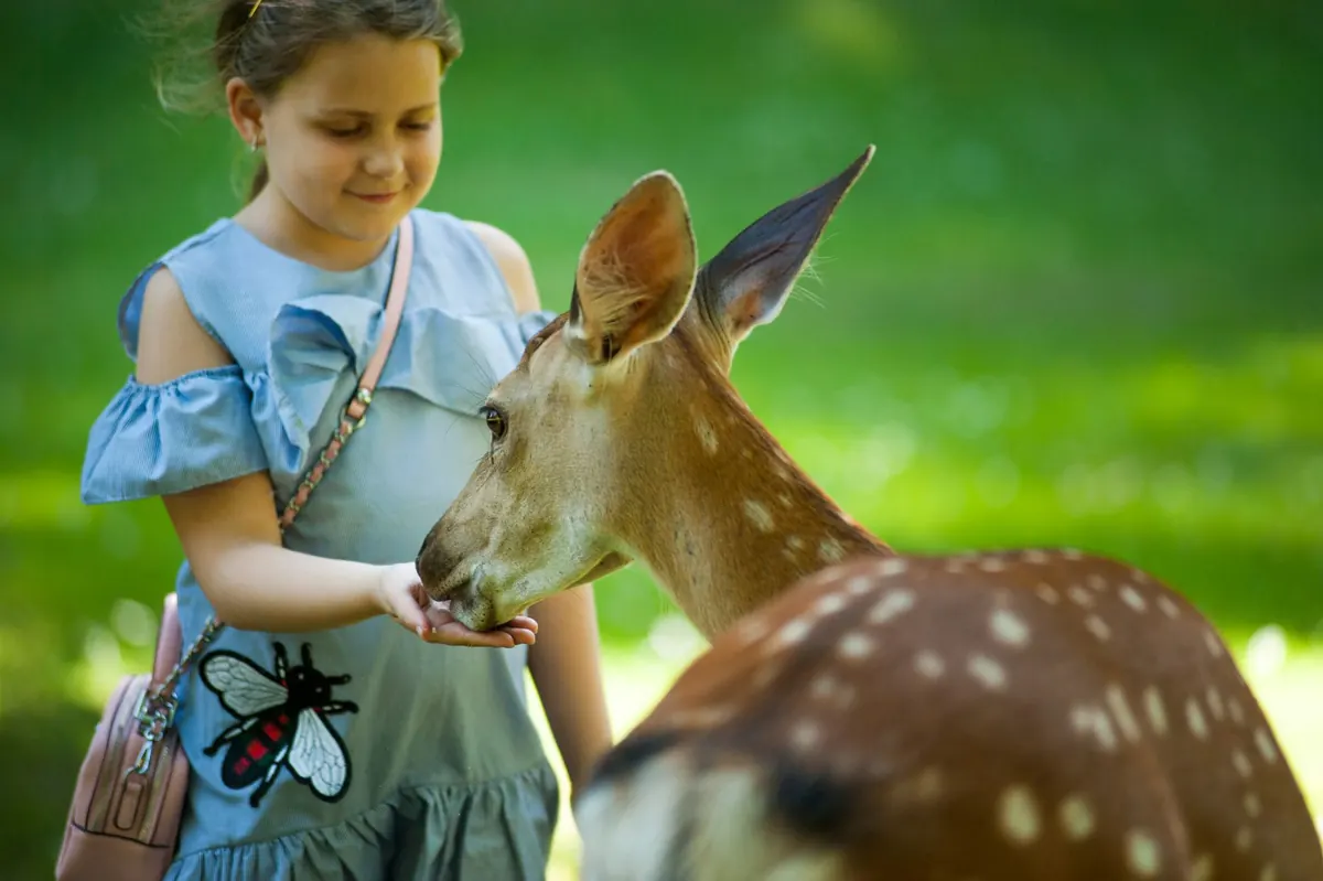 Ferme pédagogique autour de Saint-Étienne : Carré des Animaux à 9 €, AnimÉcow à 10 €
