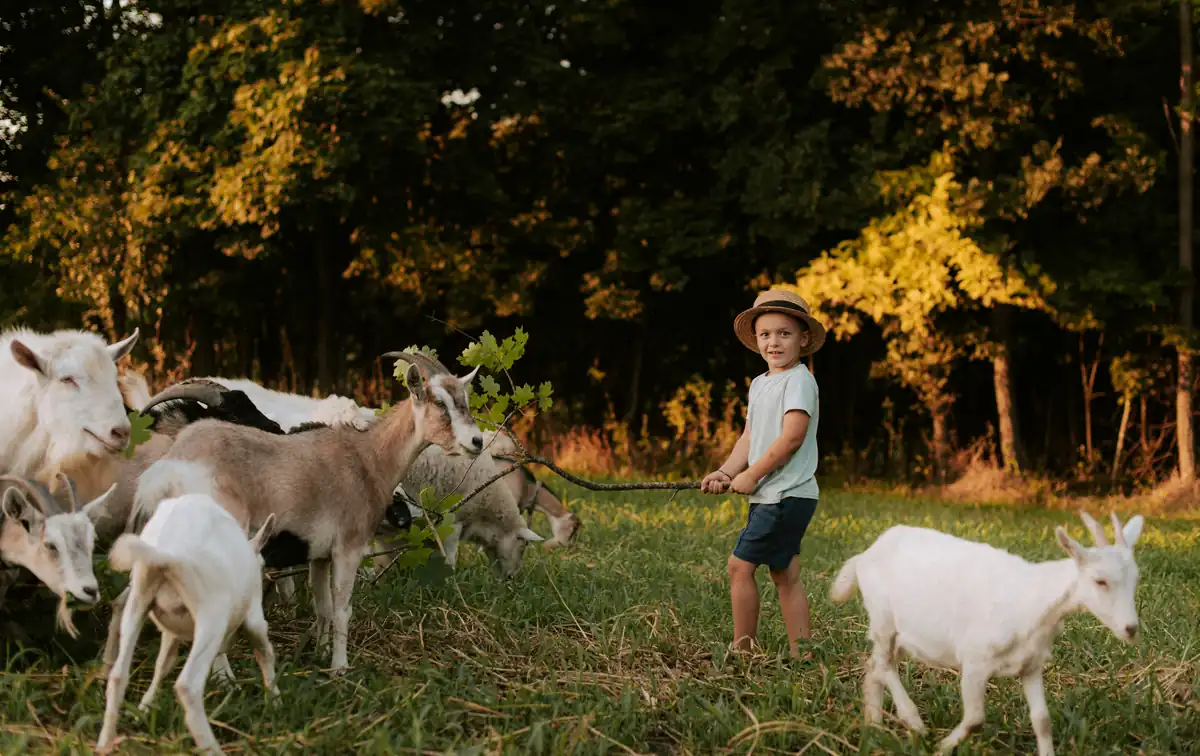 Ferme pédagogique autour de Vienne (Isère) : cinq fermes, dont trois à moins de 25 km