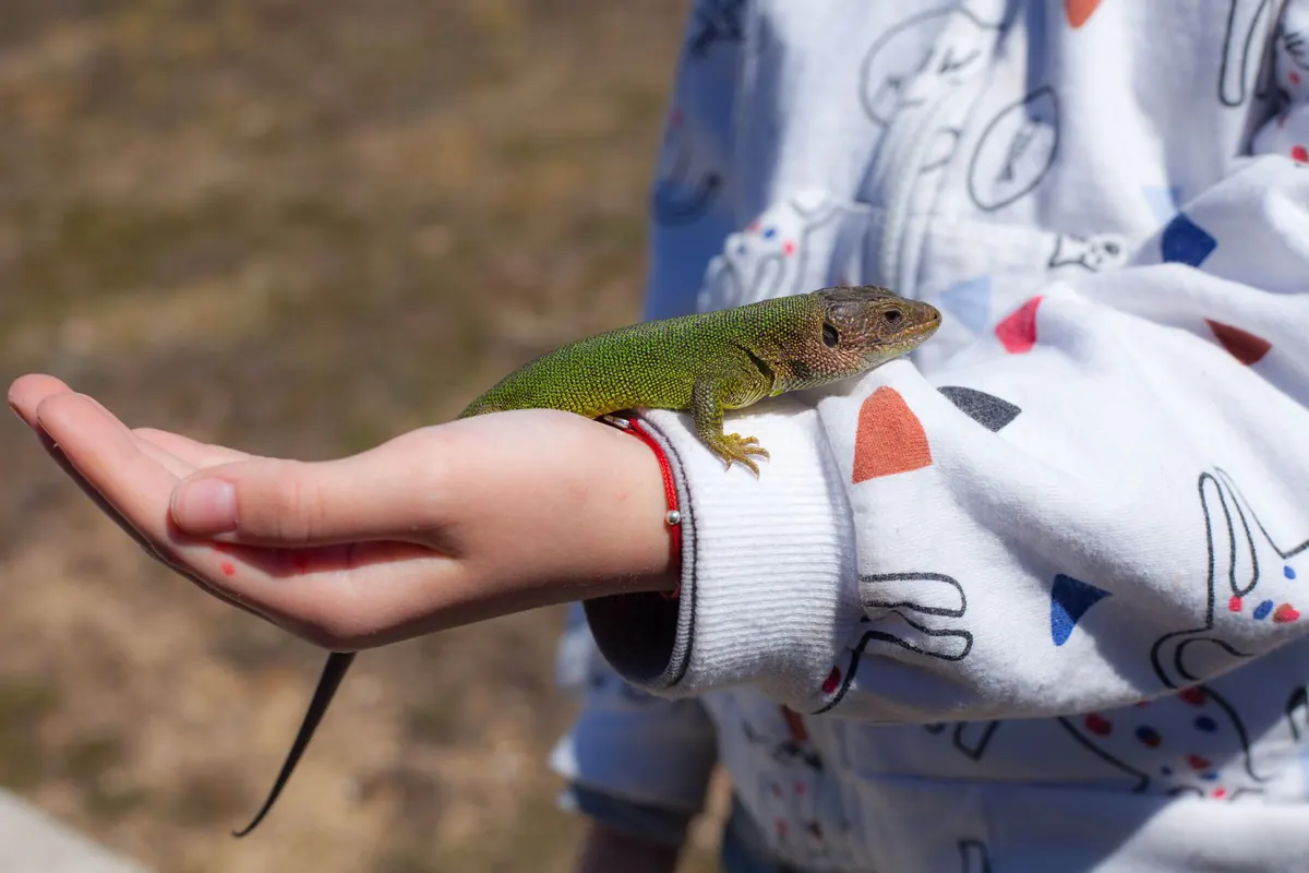 Fête de la science à Toulon : les villages de La Seyne-sur-Mer et d'Hyères, deux week-ends