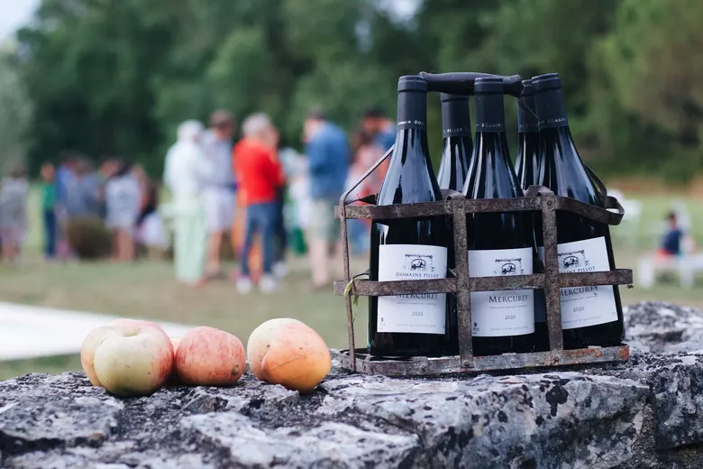 Fête des Vins de Gaillac 2026 — 47e Édition au Parc Foucaud : Programme, Tarifs & Vignerons