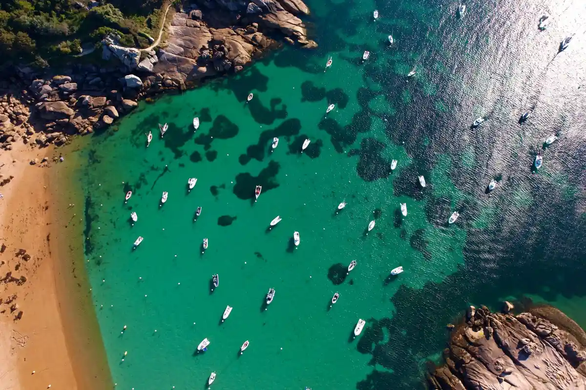 Sorties en famille en Bretagne 2026 : Océanopolis, Branféré et le Cap Fréhel