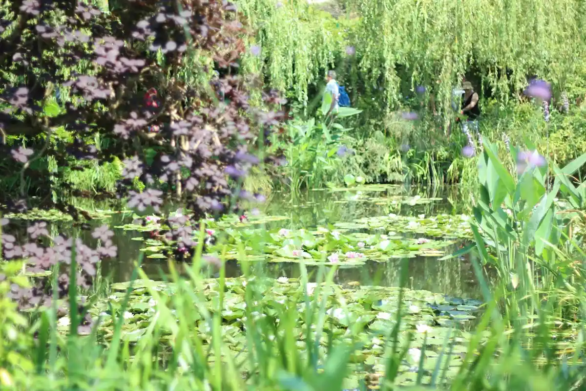 Idées de sorties en famille dans l'Eure : Giverny 13 €, Château-Gaillard libre