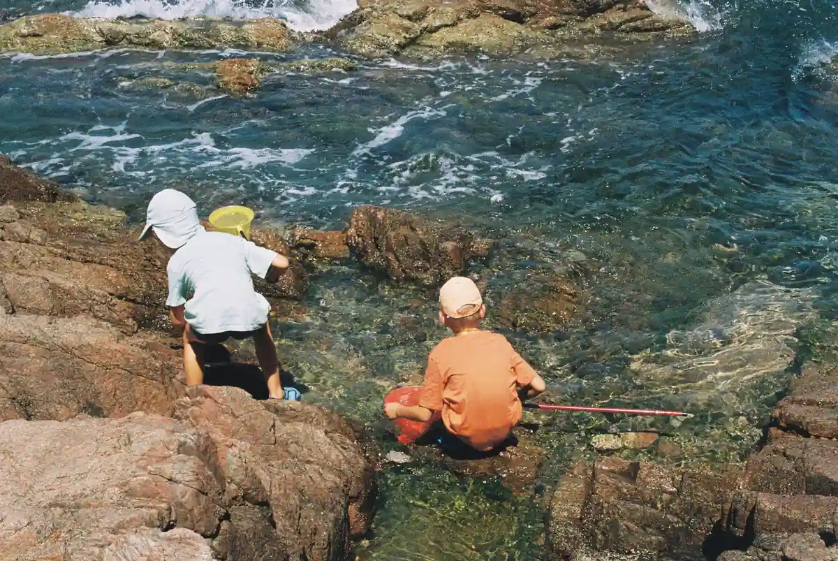Sorties en famille dans le Finistère : la criée du Guilvinec à 16 h et 11 sites à 90 €