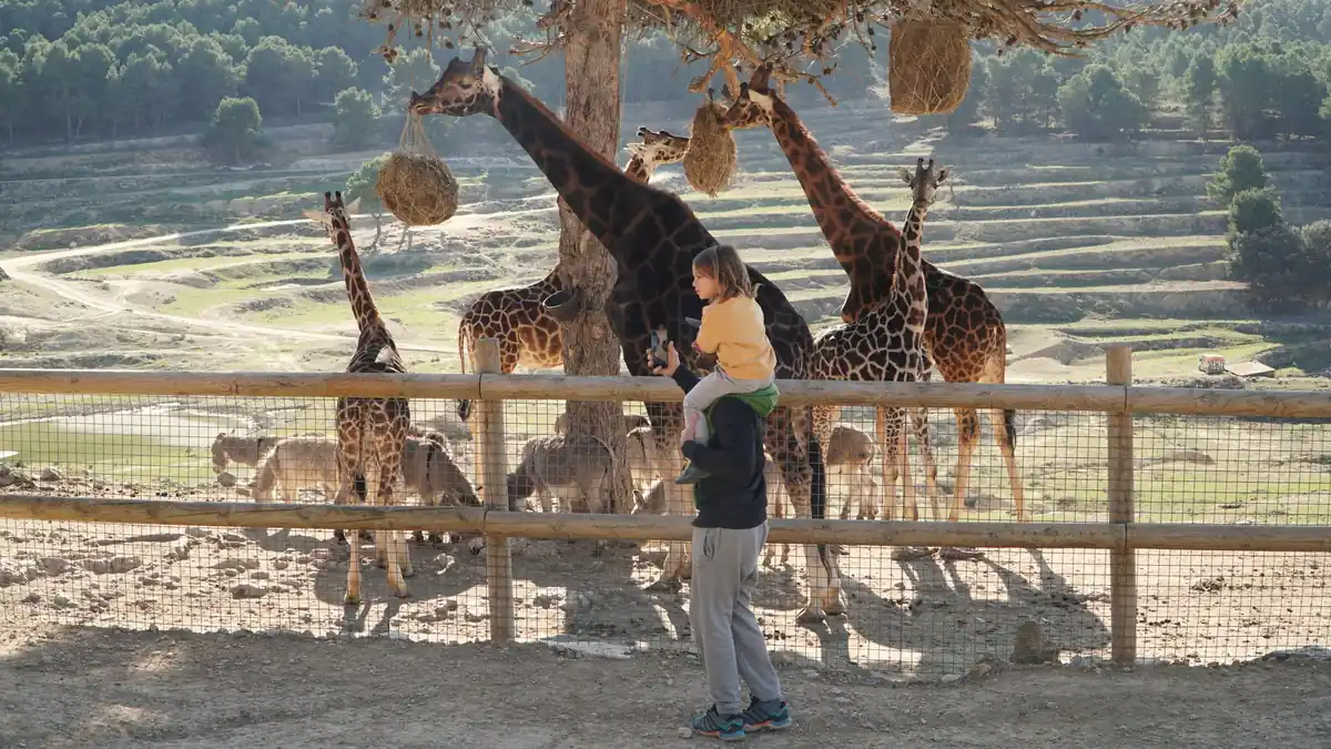 Idées de sorties en famille en Maine-et-Loire : le Bioparc à 23 € et les troglos à 6 €