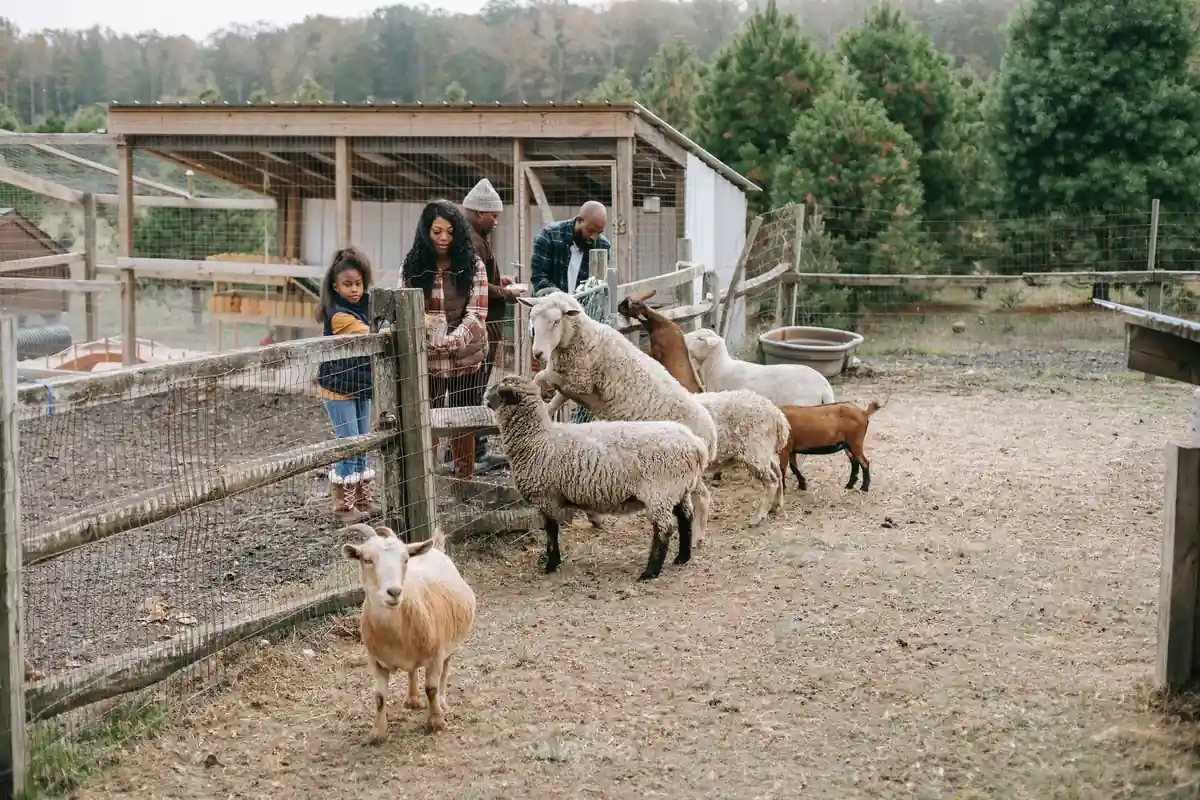 Idées de sorties en famille dans la Sarthe : l'abbaye de l'Épau à 7 € et deux zoos
