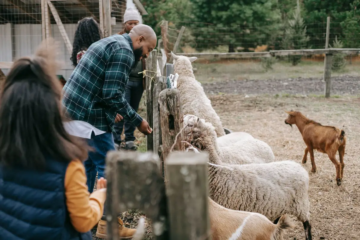 Parc animalier et zoo autour de Beauvais : un parc fermé, trois fermes à visiter