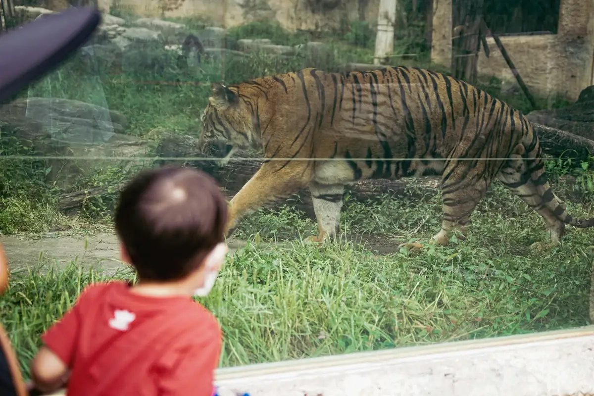 Parc animalier et zoo en famille autour de Metz : de la gratuité à 129 € la journée