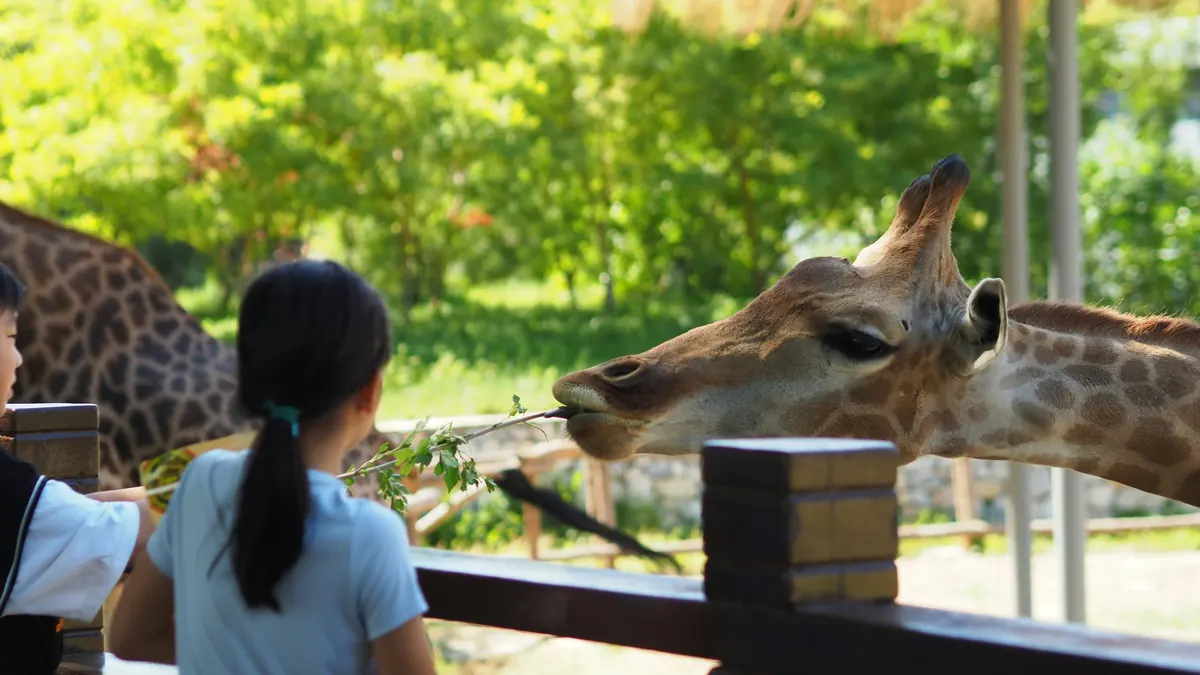 Parc animalier et zoo en famille autour de Narbonne : Sigean, Carcassonne et Vendres