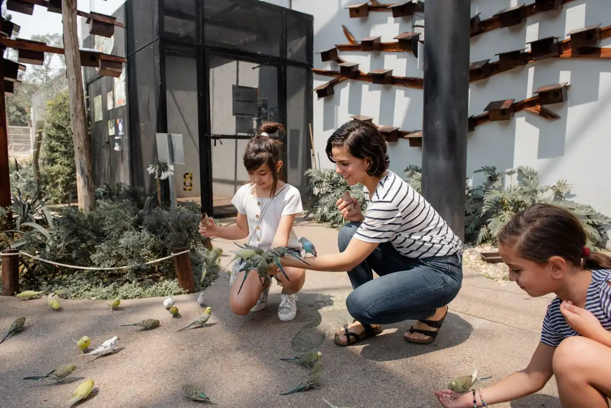 Parc animalier et zoo en famille autour de Poitiers : trois parcs, de 9 à 24 €