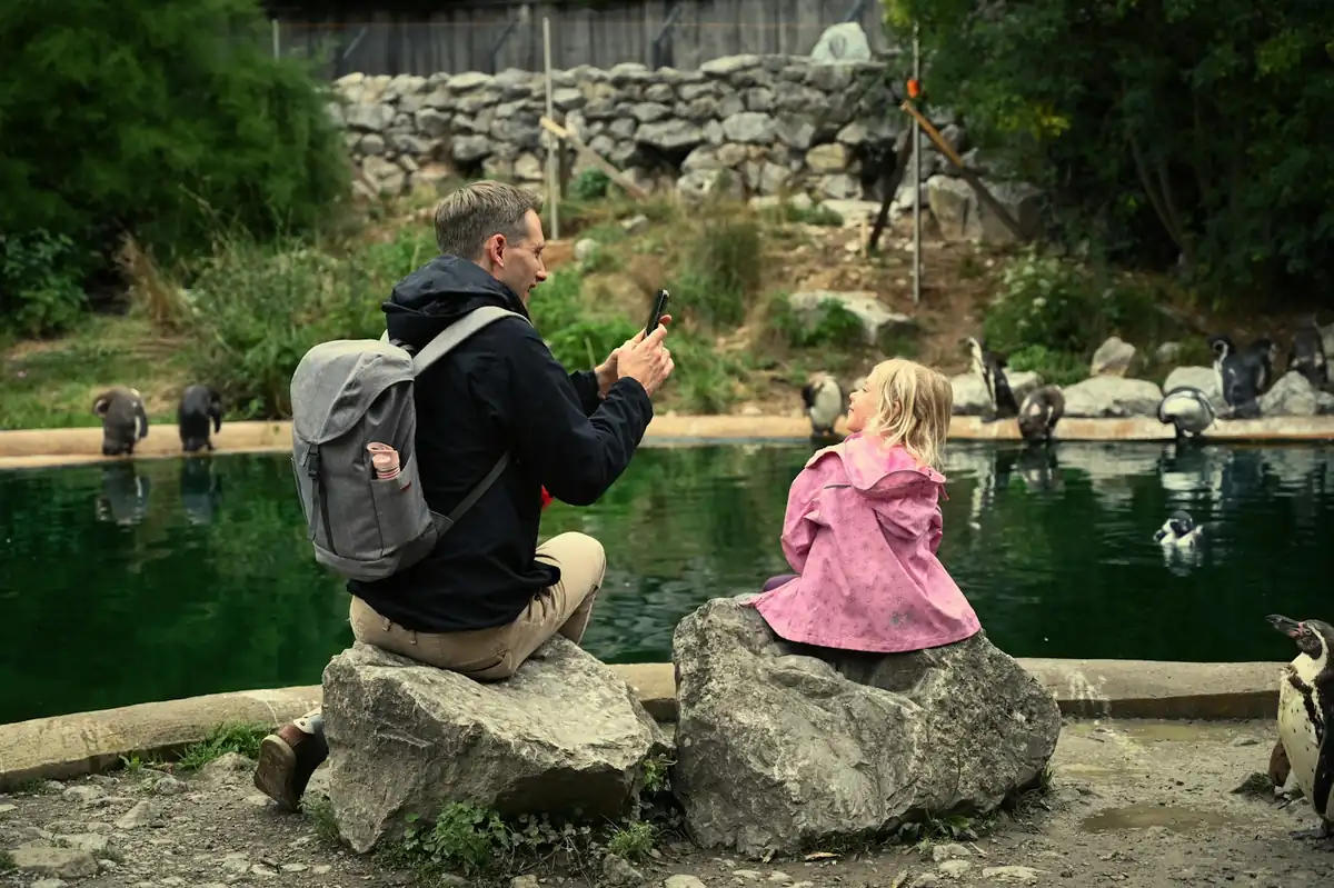 Parc animalier et zoo en famille autour de Toulon : 4 parcs, de 7 à 23 € l'entrée