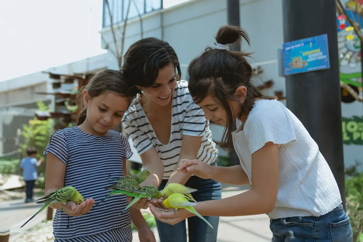 Que faire à Amiens en famille : hortillonnages en barque et musée de Picardie gratuit