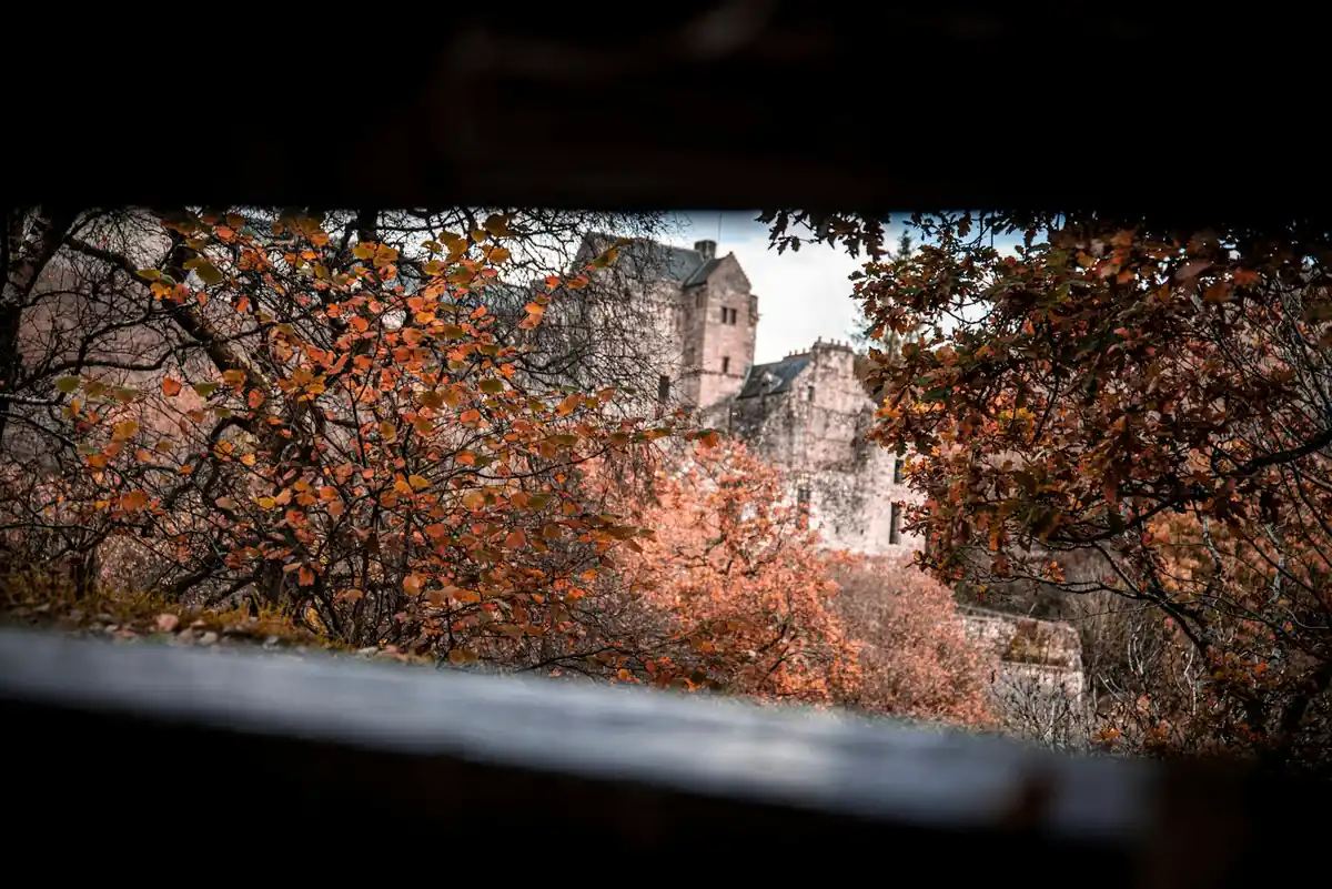 Que faire autour de Strasbourg en famille : quatre sorties, deux ferment à la Toussaint