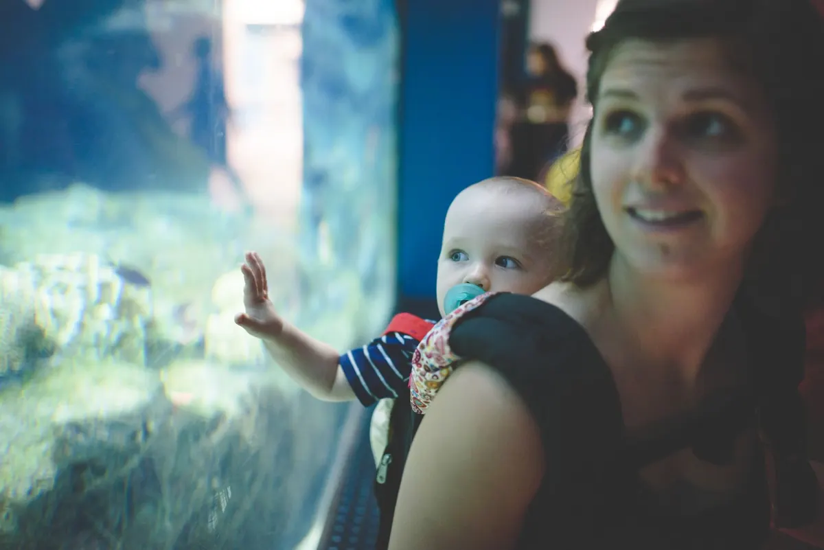 Que faire à La Rochelle en famille : musées gratuits avant 18 ans et parc animalier