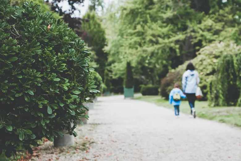 Sortie avec bébé dans le Nord : zoos accessibles poussette, parcs plats, plage de Malo-les-Bains et sorties 0–3 ans, tarifs 2026
