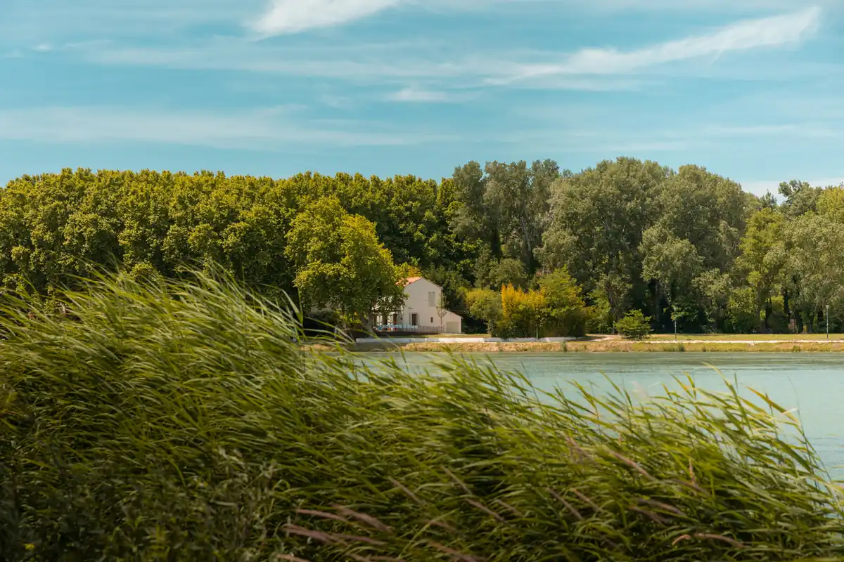 Sortie nature à Bordeaux : les marais de Bruges gratuits et 6 km de sentiers aux Barails